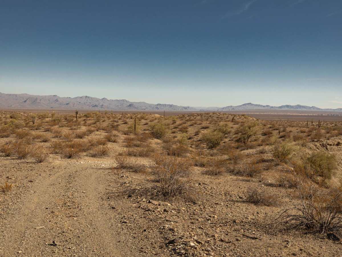 Rockridge to Wash - P1346 photo 4