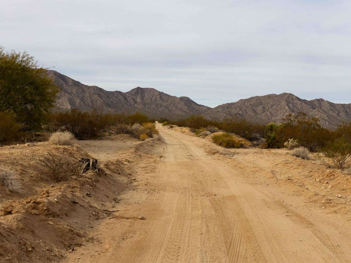 Bonanza Mine photo 4