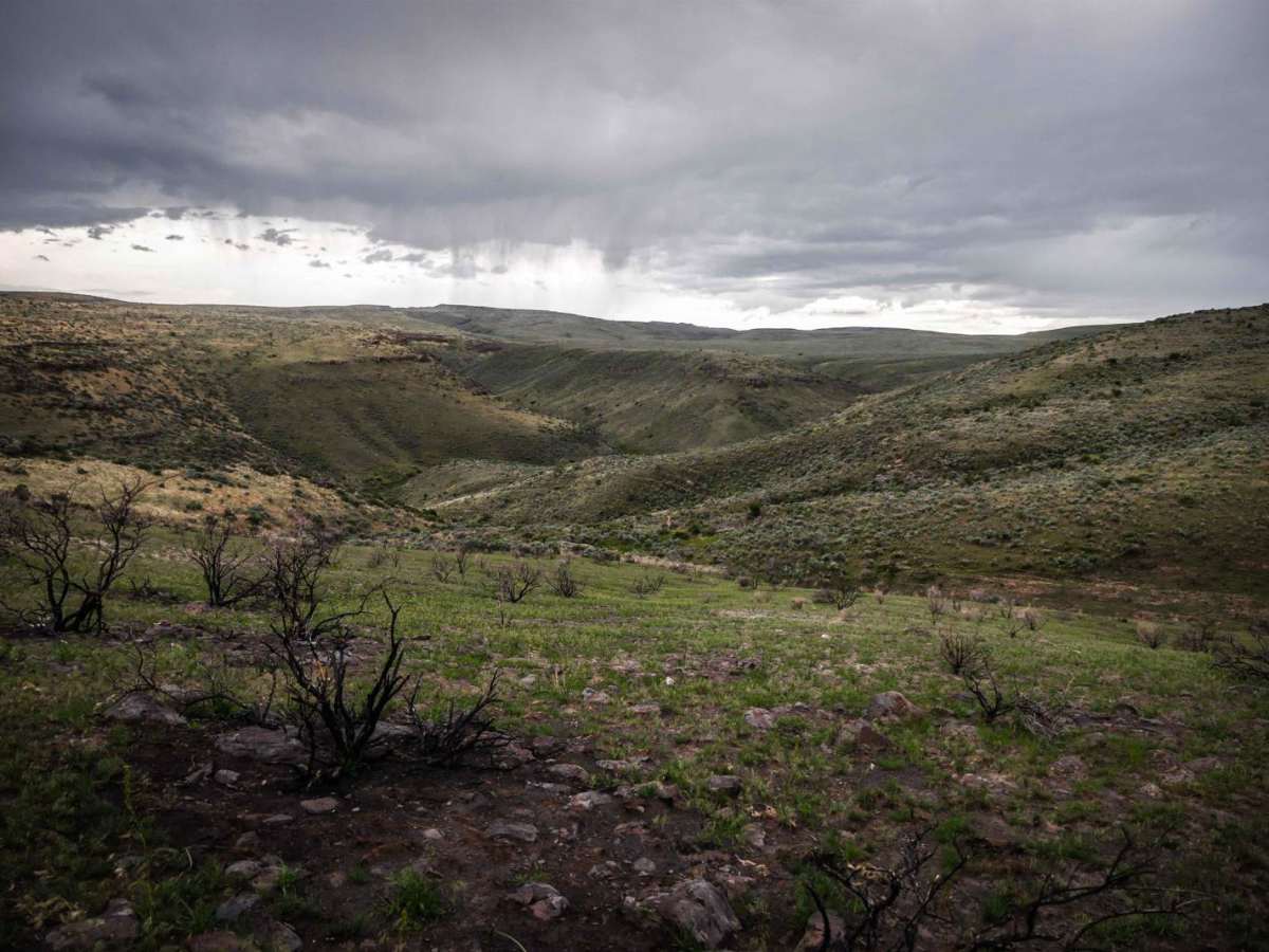 Matt's Gulch photo 4