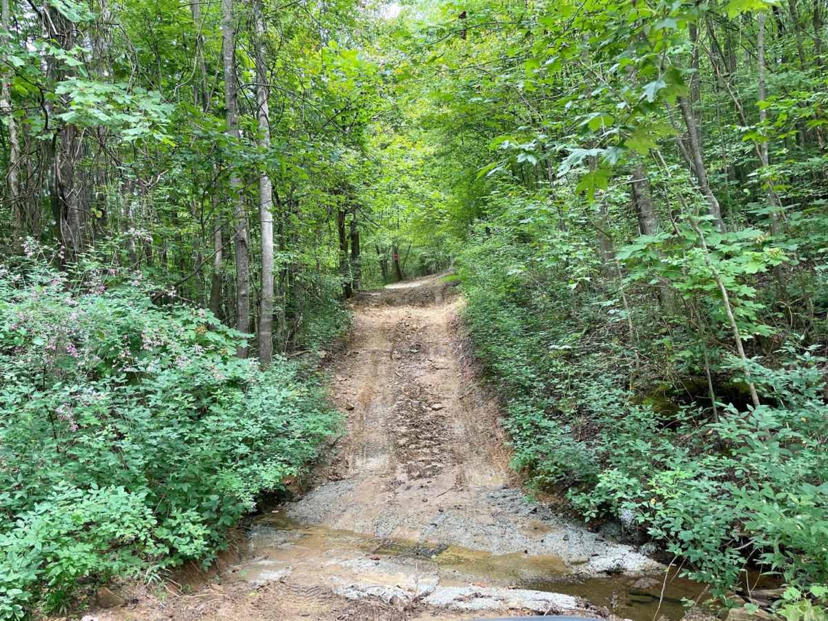 Little Coon River Trail trail photo