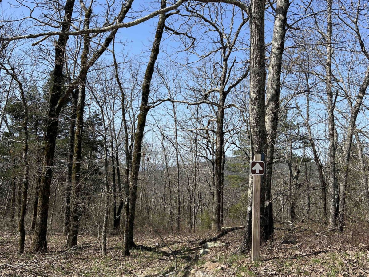 Posey Hollow 76 photo 4