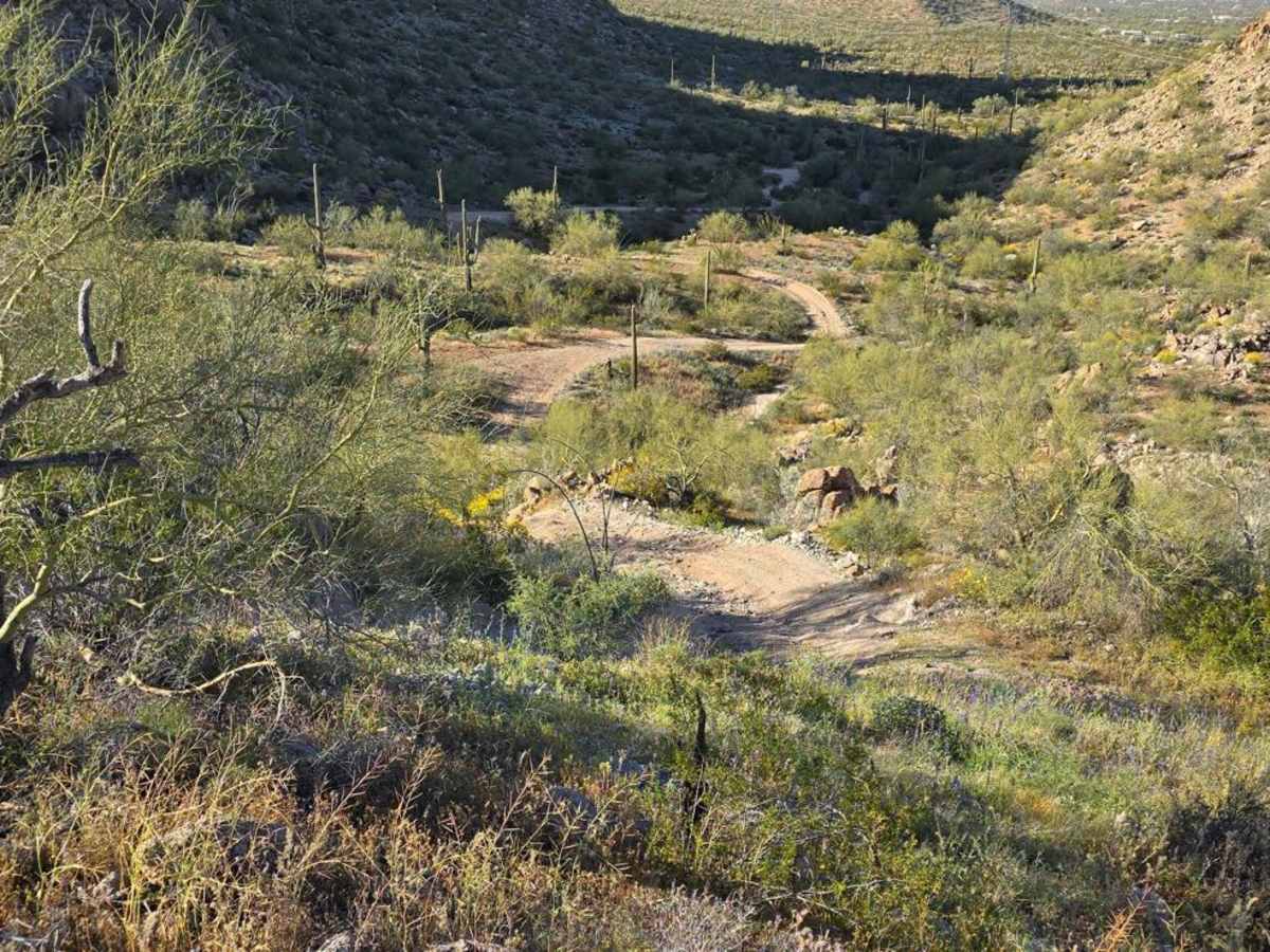 Helix Hill Climb trail photo