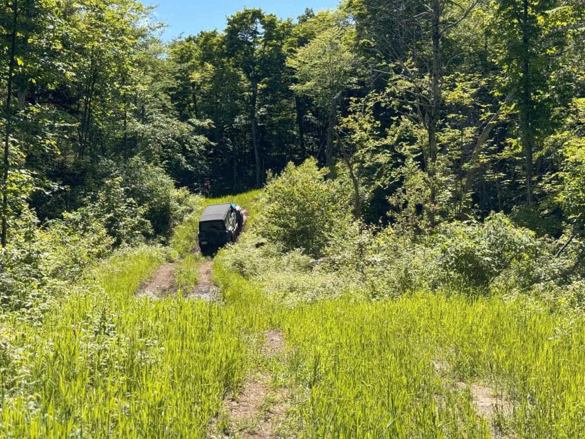 Scenic Powerline Trail 1 photo 3