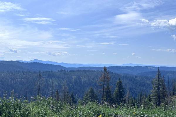 Meadows Goose Lake