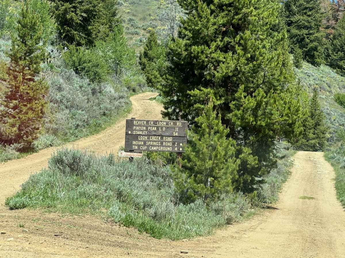 Beaver Loon Road - FS Trail 172 photo 5