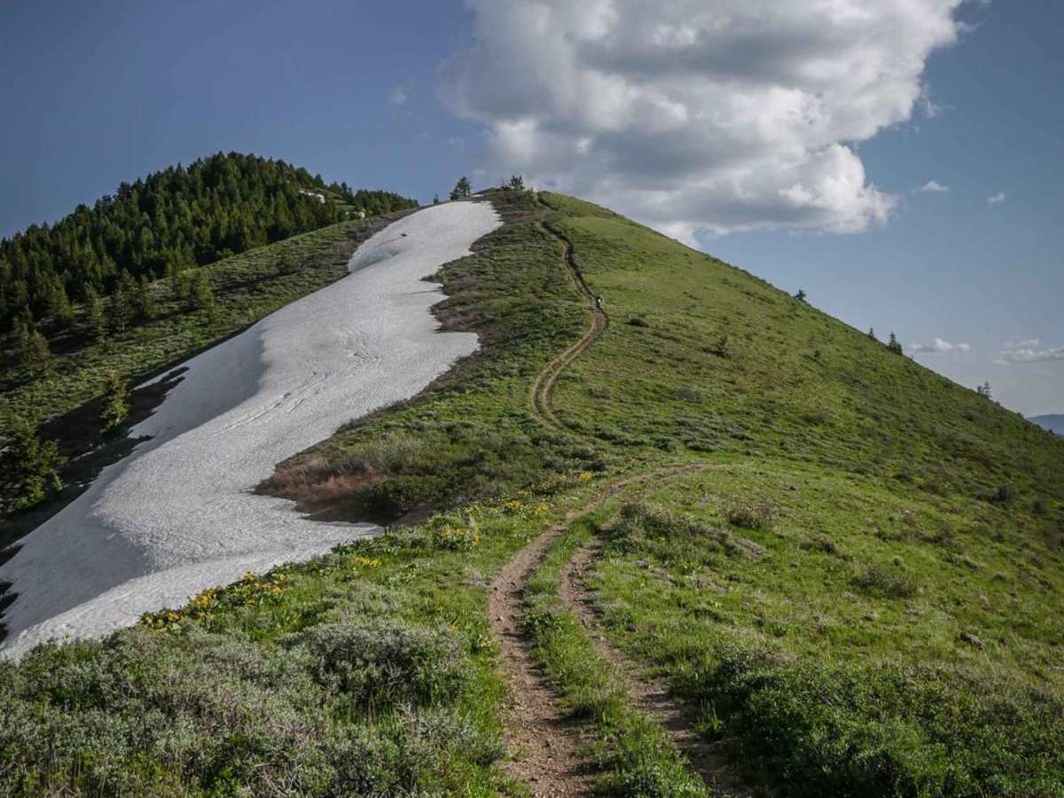 East Slope of Old Baldy Peak trail photo