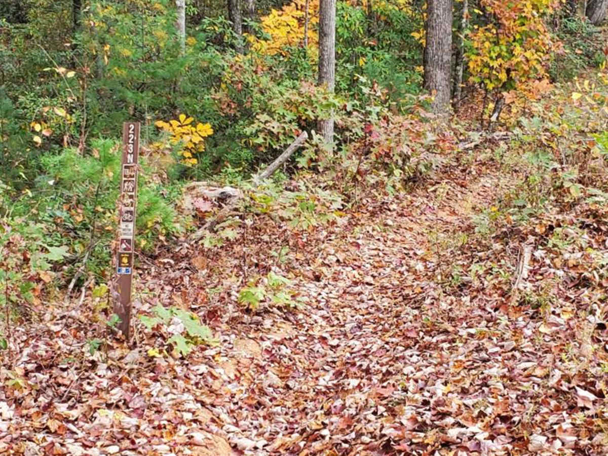 Moss Hill - FSR 28B photo 3