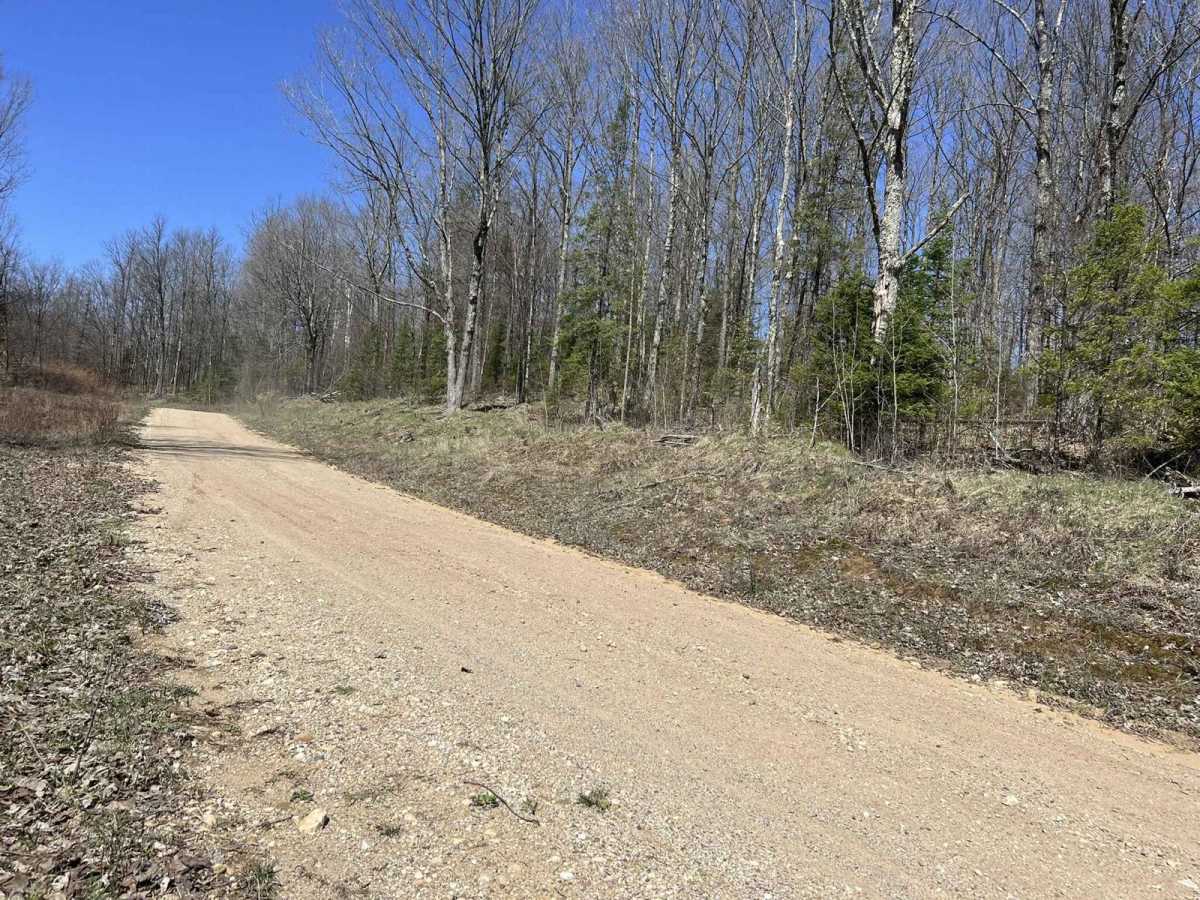 Black Creek Trail/ FR N3015 photo 6
