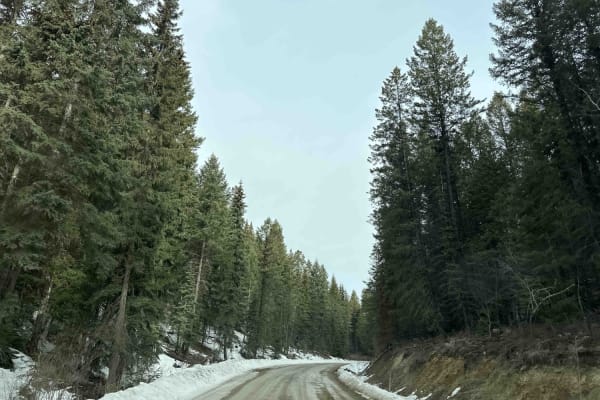 Forester Creek to Snowmobile Parking