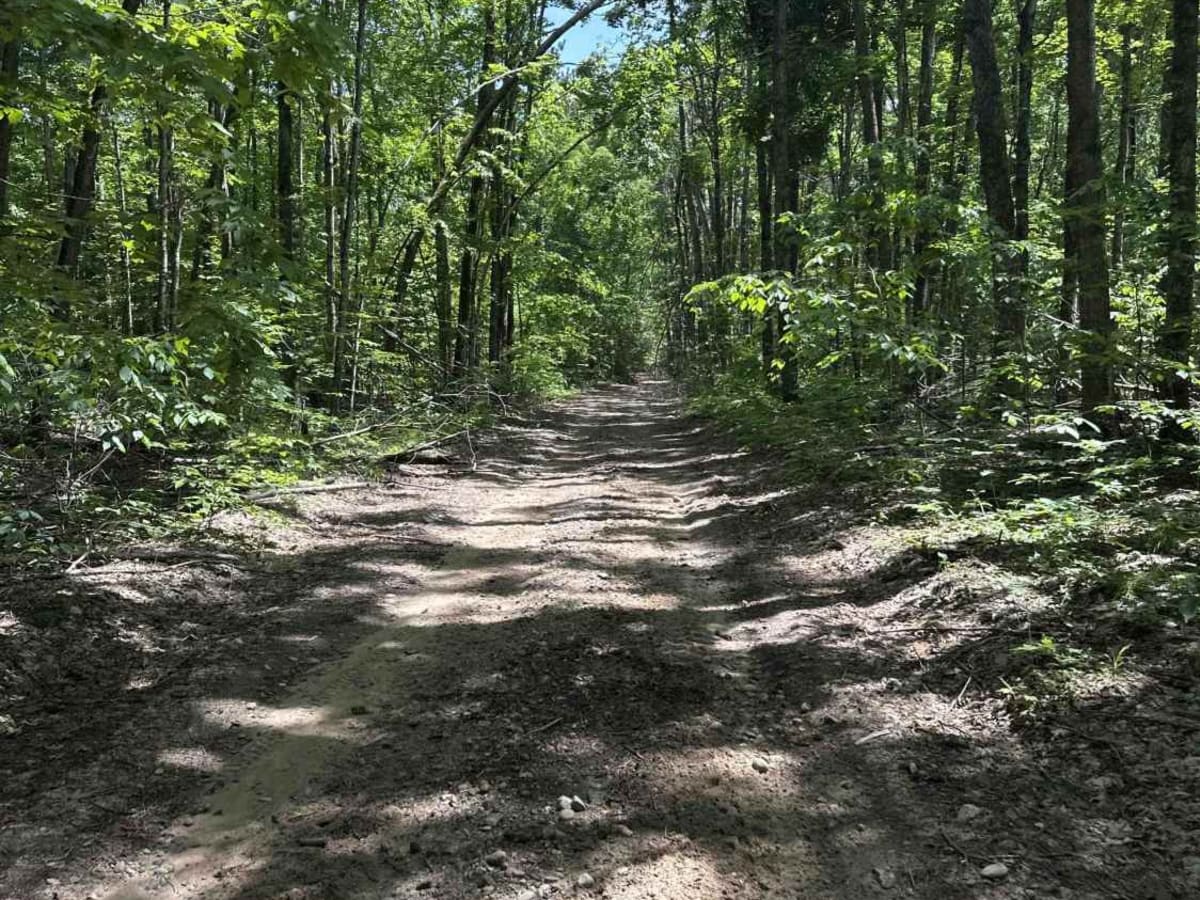 Berry Creek photo 6