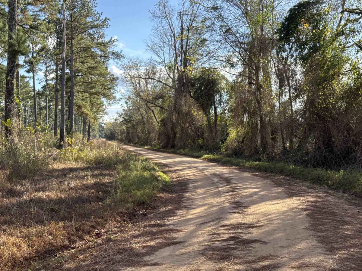 Chickasawhatchee Road photo 3