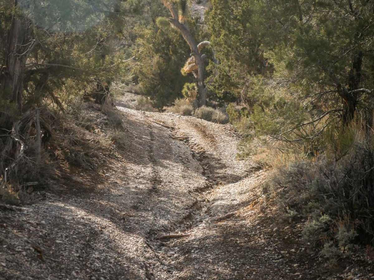 081 Bypass Trail trail photo