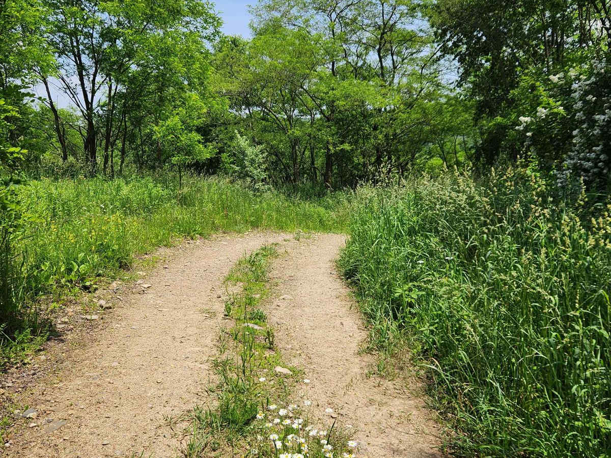 Trail 11J - Rock Run Recreation Area photo 4