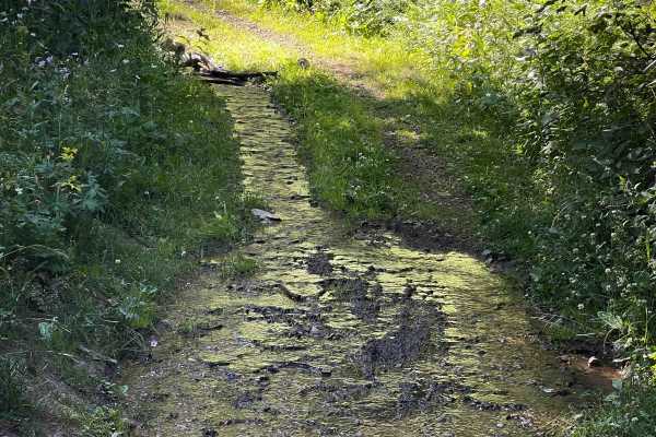 North Grove Creek