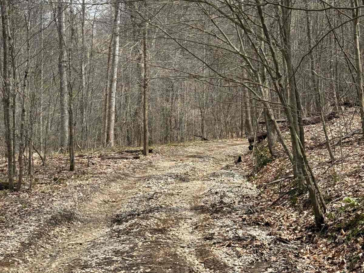Trail 10 photo 2