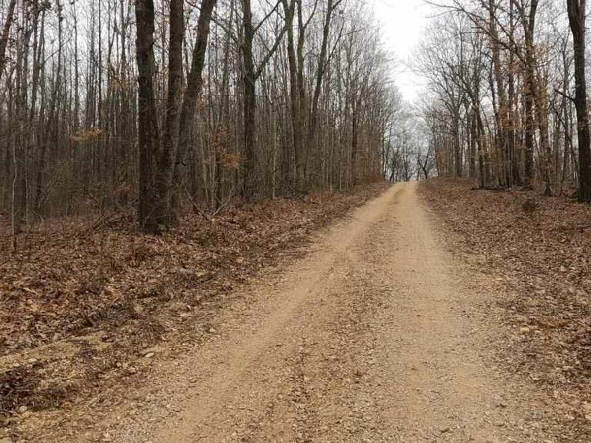 Goose Pond Hills Road photo 5