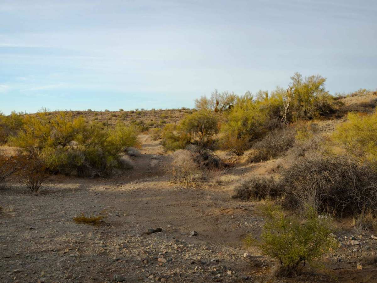 9113B Option trail photo