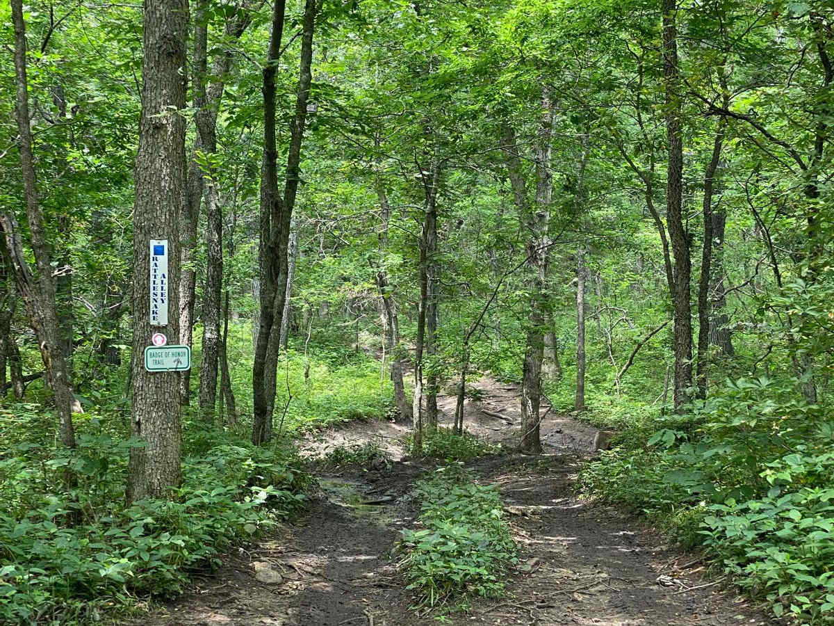 Rattlesnake Alley photo 6