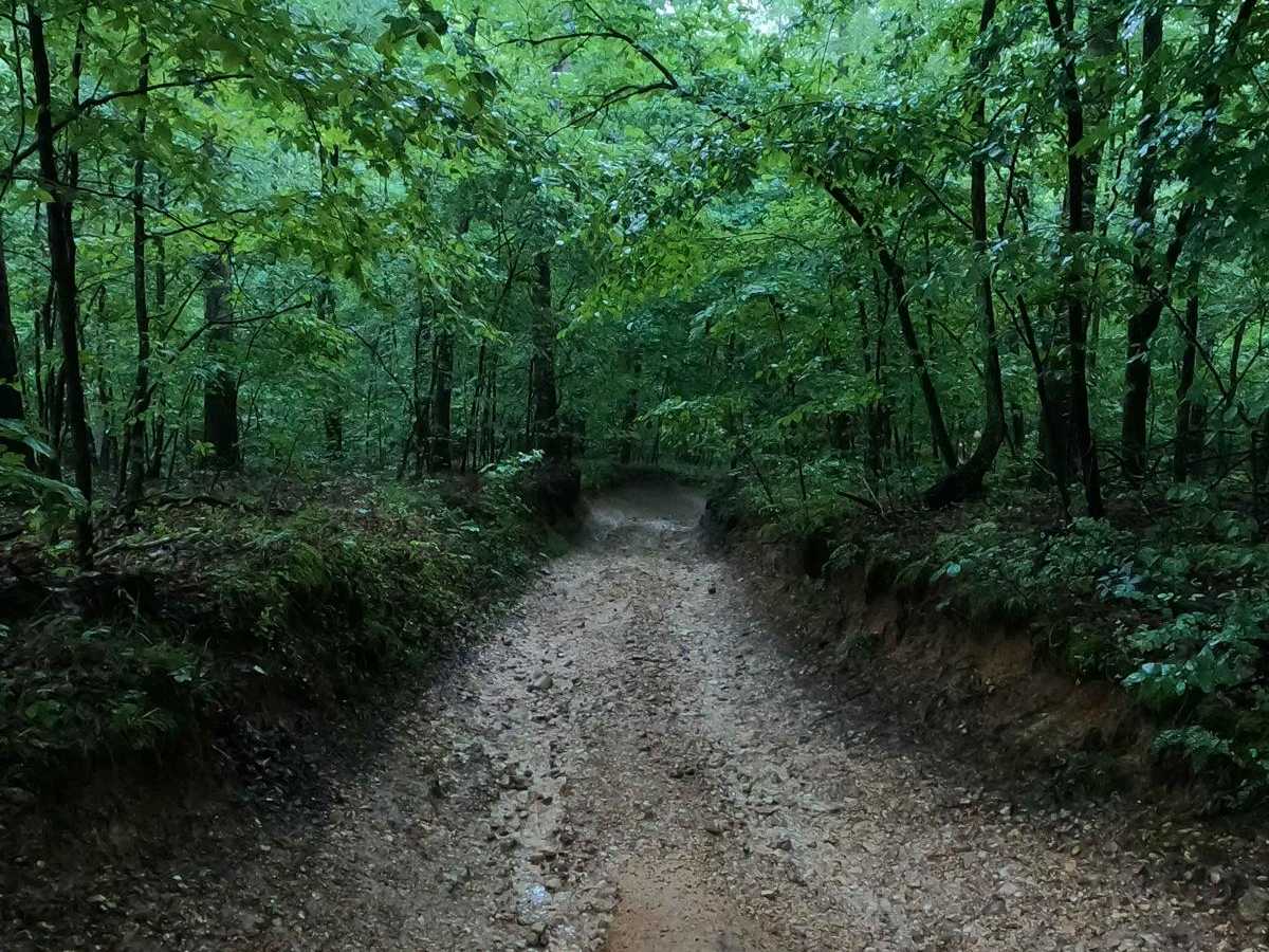 8 to E Road photo 3