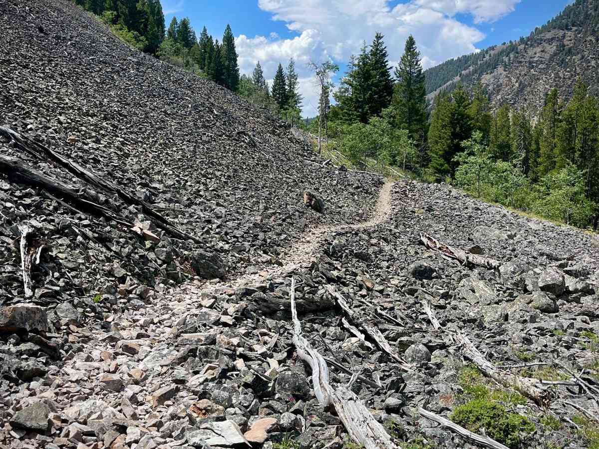 North Fork Big Creek photo 3