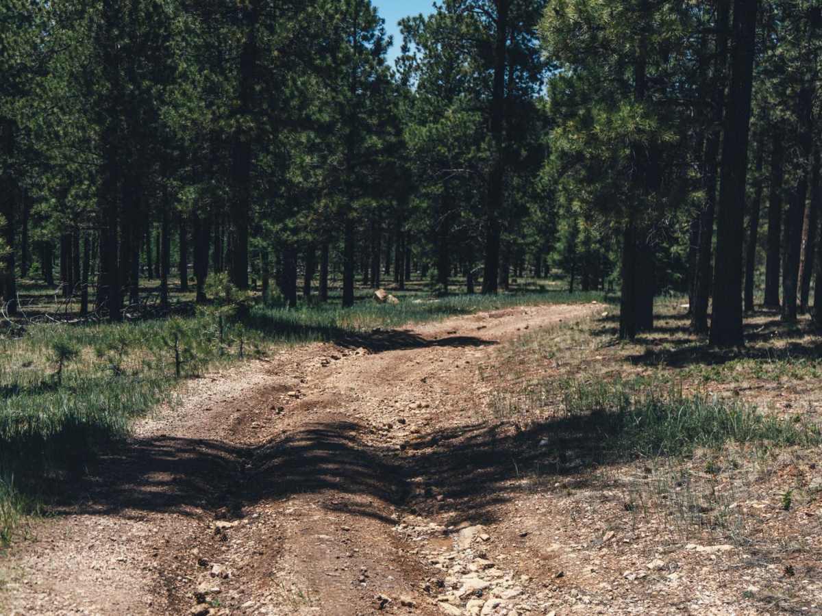 265 to Nowhere photo 5