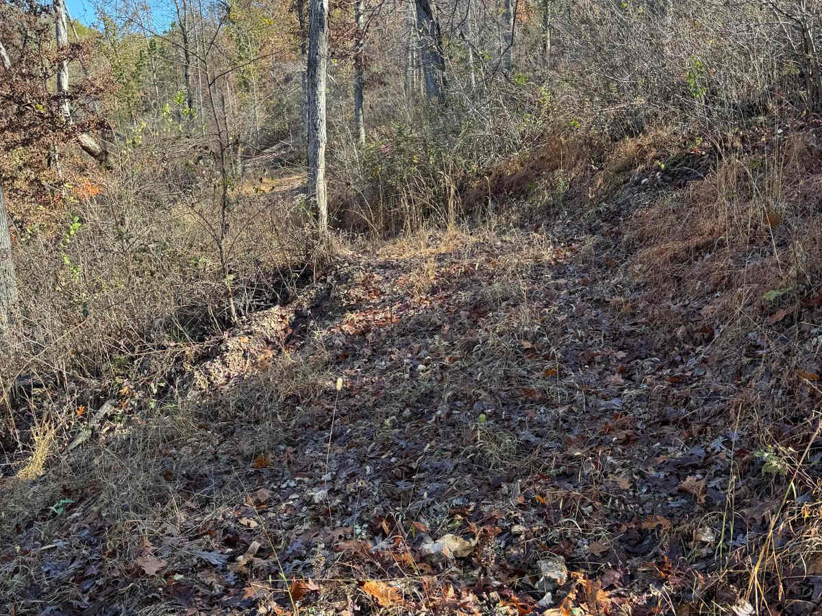 Green 128 photo 2