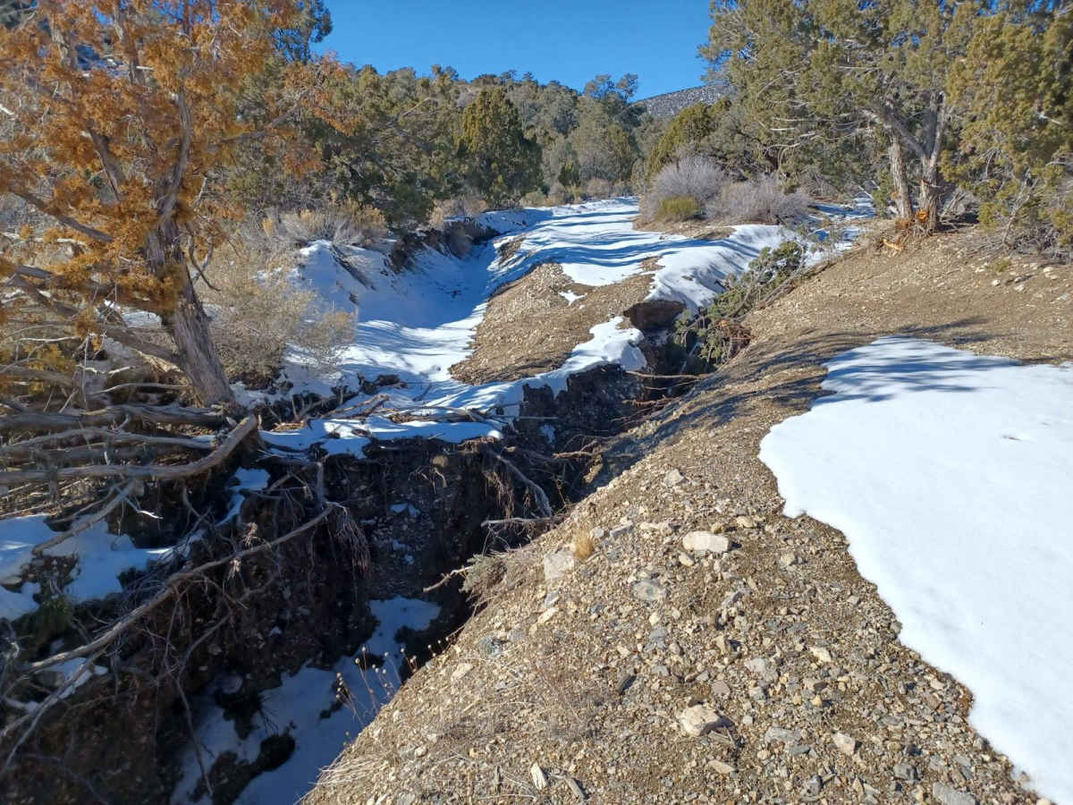 Badger Road photo 2