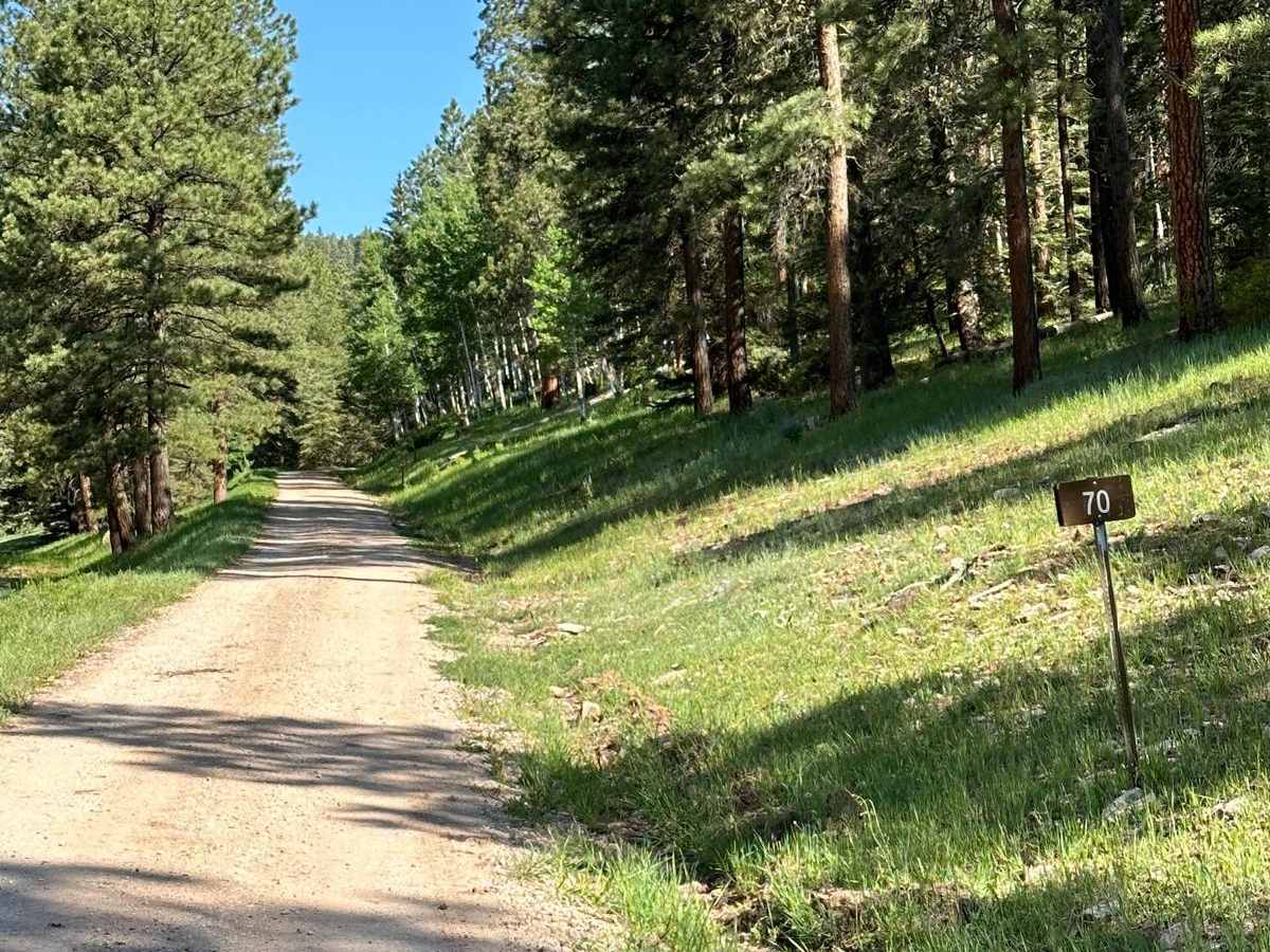 FR 70 American Creek trail photo