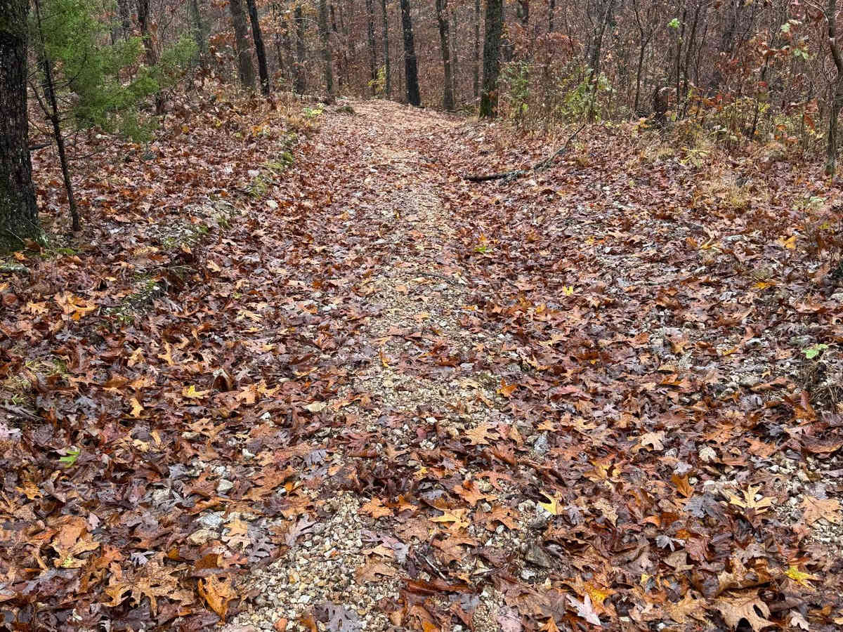 Marble Hill 91 photo 2