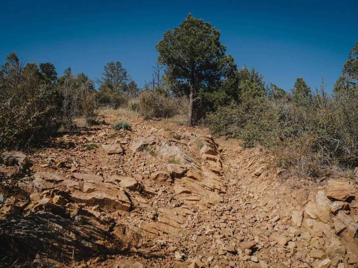 Charcoal Gulch trail photo