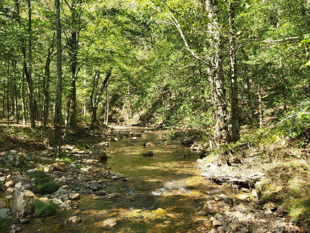 Big Athens Fork photo 2