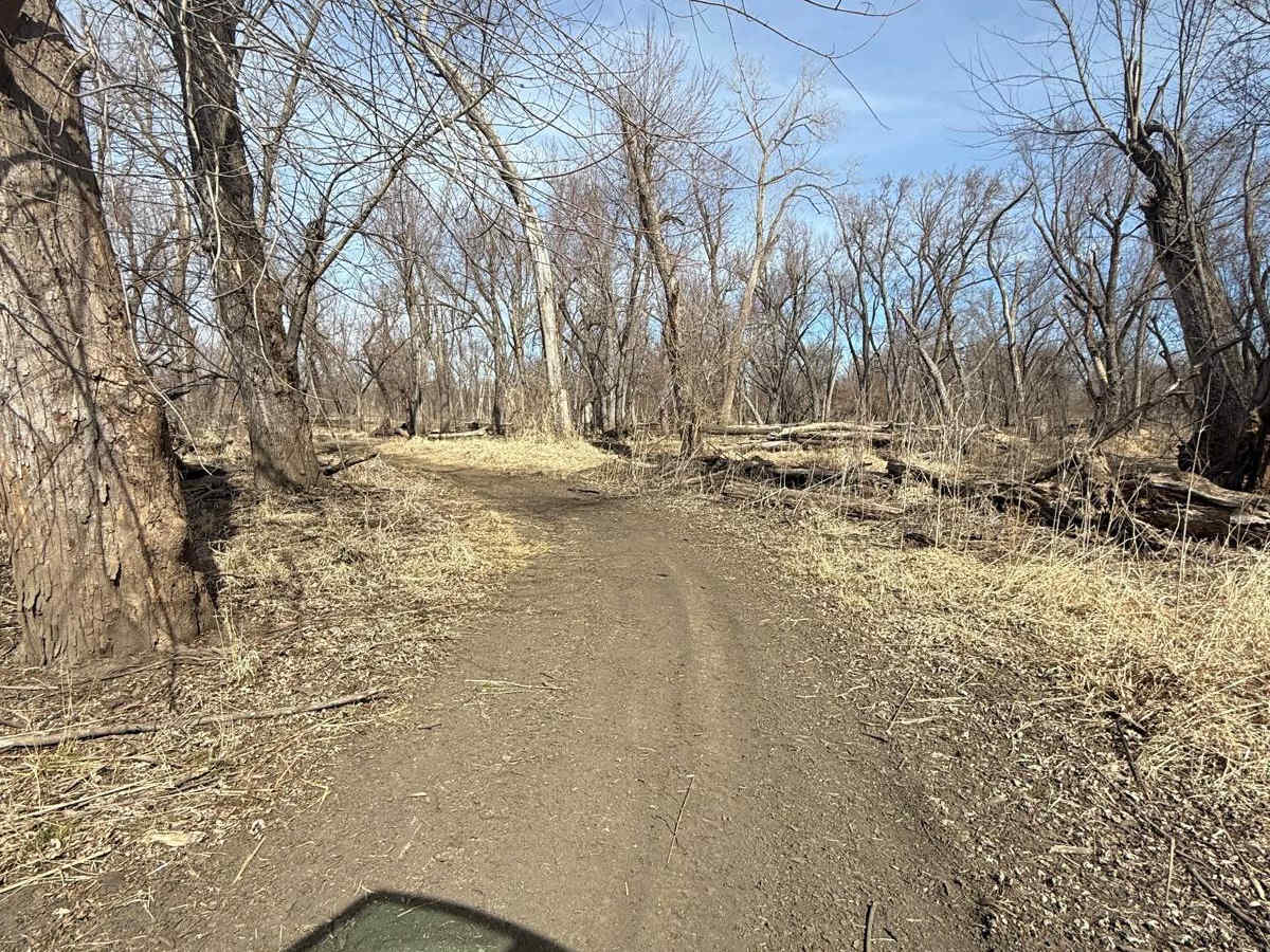 D1 trail photo