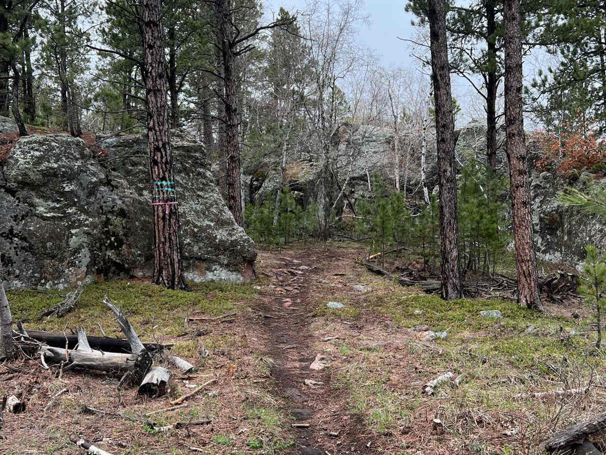 Boulder Scenic Cut Through photo 2