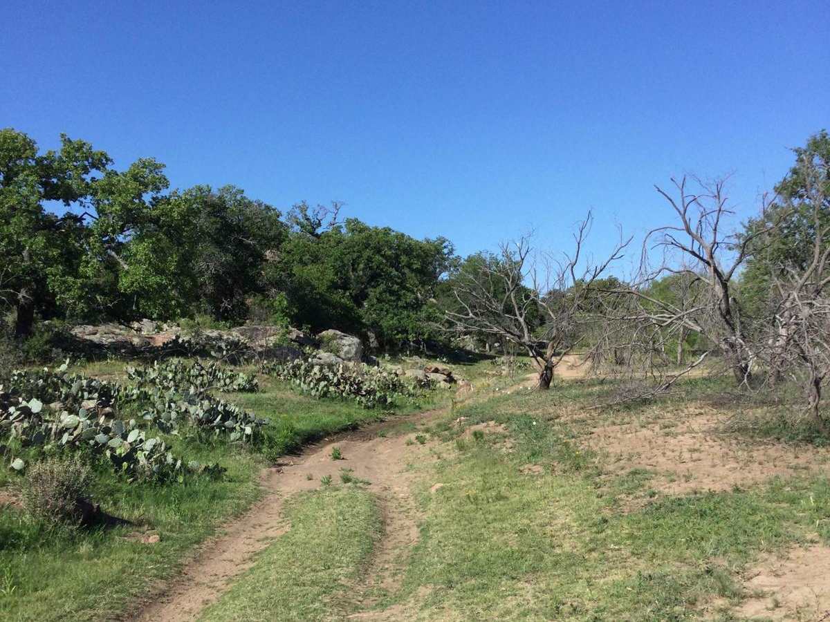 Easy Street trail photo