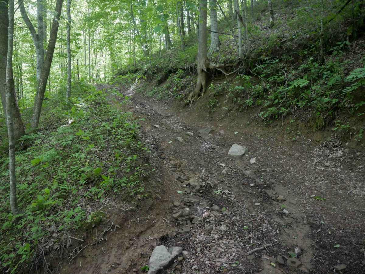 MV93 trail photo