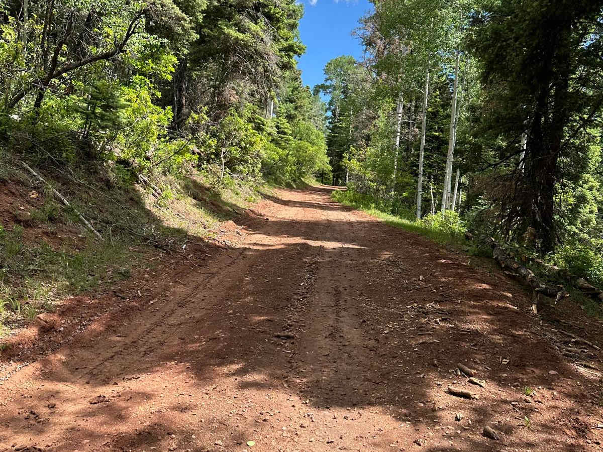 FR 93 Red Mud Rumble photo 2