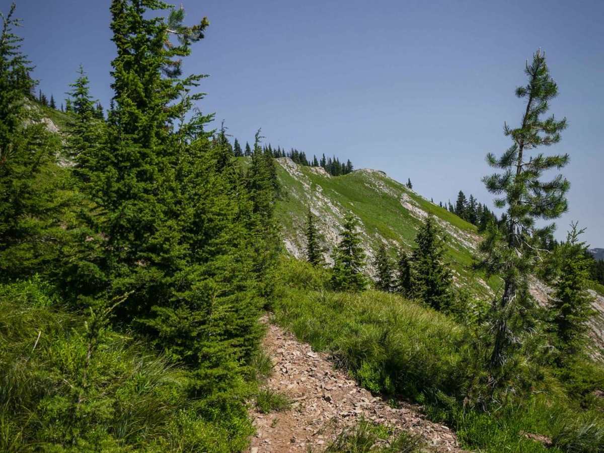St. Joe Divide North photo 5
