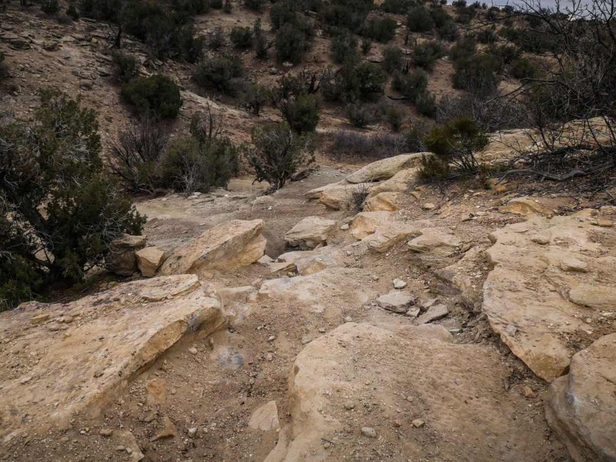 Arch Loop Trail photo 2