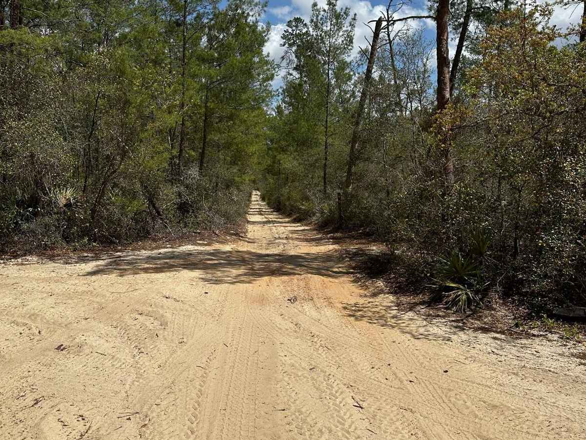 ONF Trail 5-9.0 photo 6