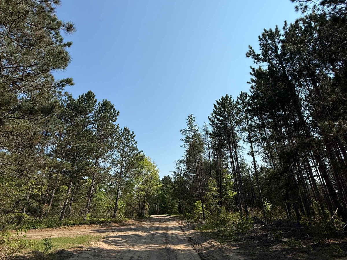 Hodge West Trail photo 4