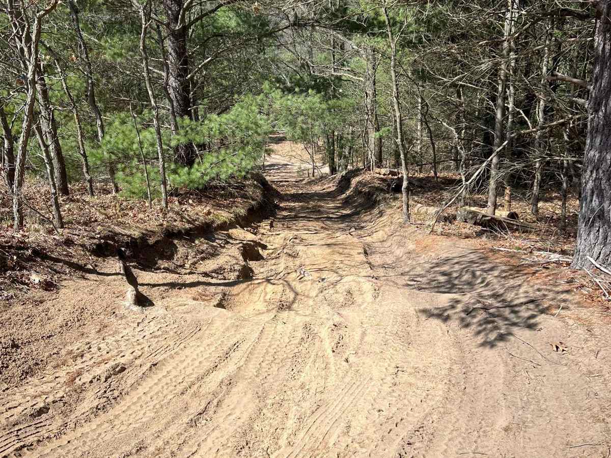 Ewing Hill trail photo