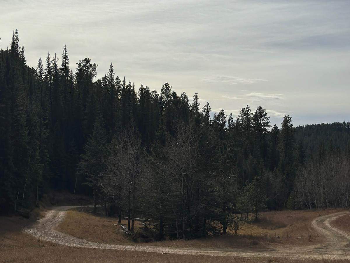 Hughes Draw & Horsethief Road photo 2