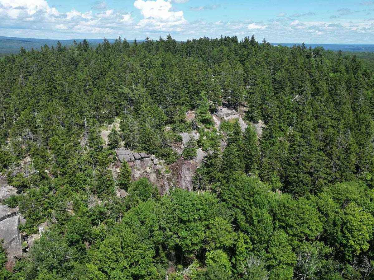 Green Hill Lookout trail photo