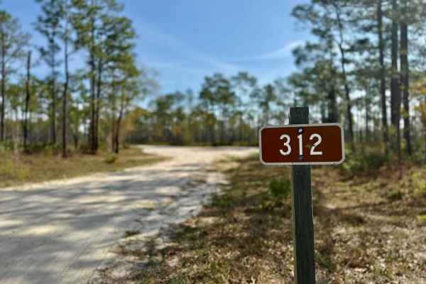 Ranger Trail - FS 312