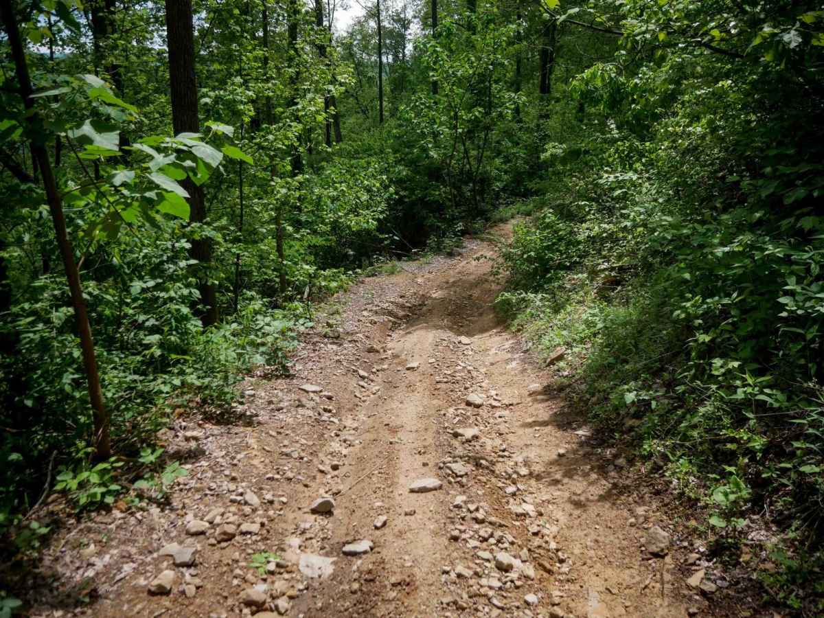 B21 trail photo