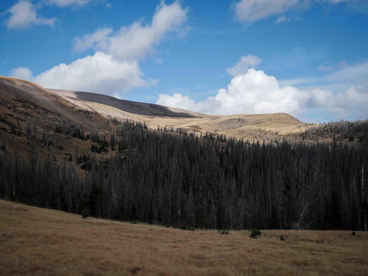 Benino ATV photo 4