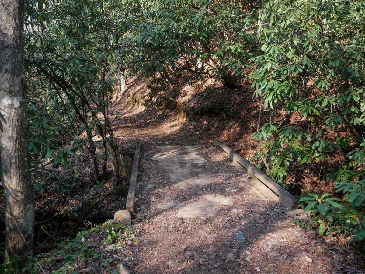 Rail Line Way 7A (One-Way) photo 3