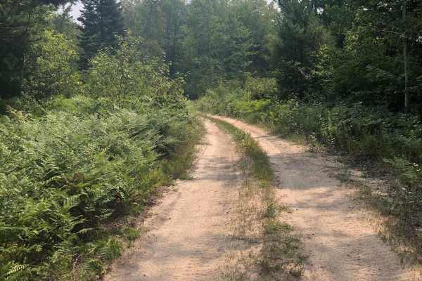 Wallin Road Part 4