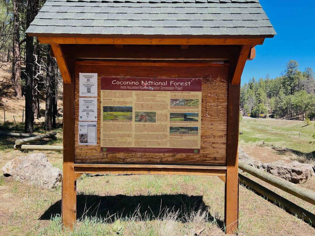 Clover Spur Maintained photo 3