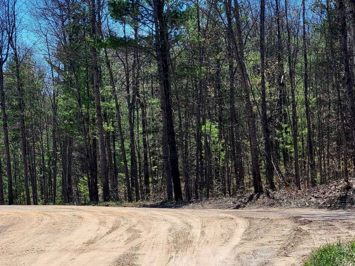 Afton Area/Fisherman Trail Connector photo 6